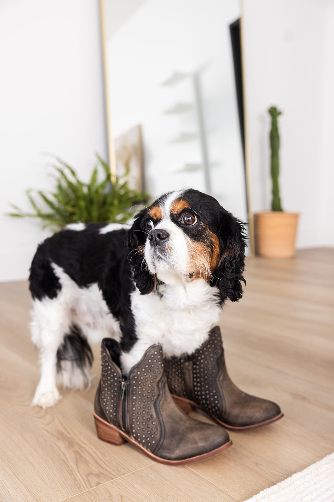Chaussures d'été orthopédiques durables